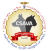 casava 2